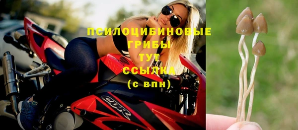 индика Покачи