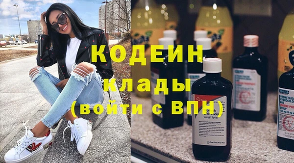 индика Покачи