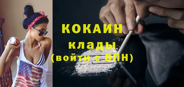 индика Покачи