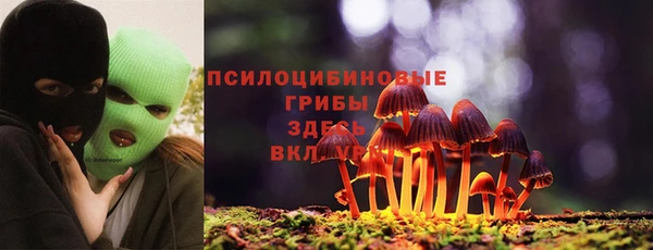 mdpv Протвино