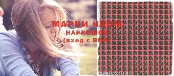 индика Покачи