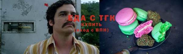 индика Покачи
