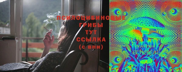 индика Покачи