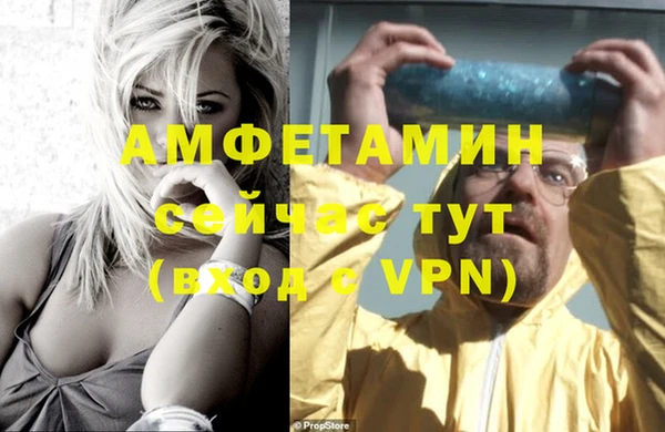 индика Покачи
