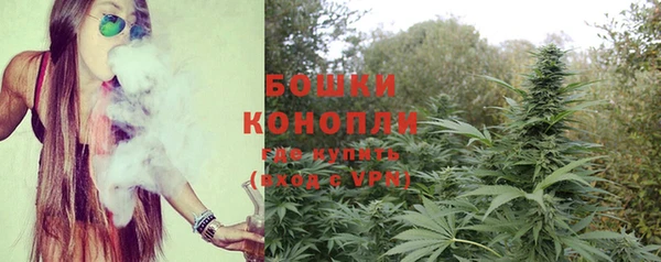 индика Покачи