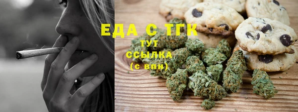 индика Покачи