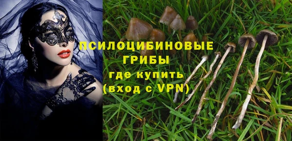 СК Грязи