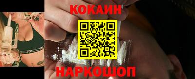 шишки Гай