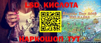 шишки Гай