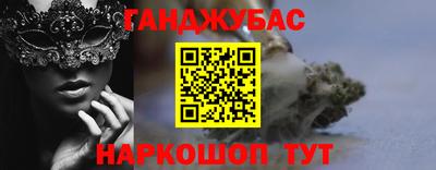 шишки Гай