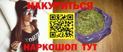 шишки Гай