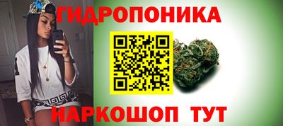 гидропоника Гатчина