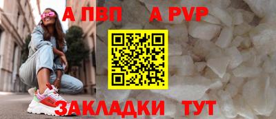 шишки Гай