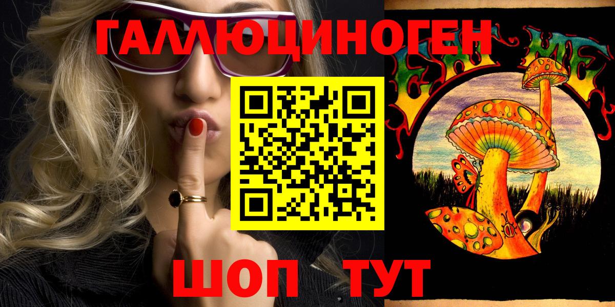 продажа наркотиков  Вход с VPN  Анжеро-Судженск  Псилоцибиновые грибы Psilocybine cubensis 