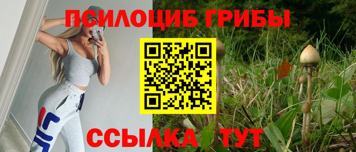 Псилоцибиновые грибы прущие грибы  Галлюциногенные грибы мицелий  Анжеро-Судженск  Вход с VPN 