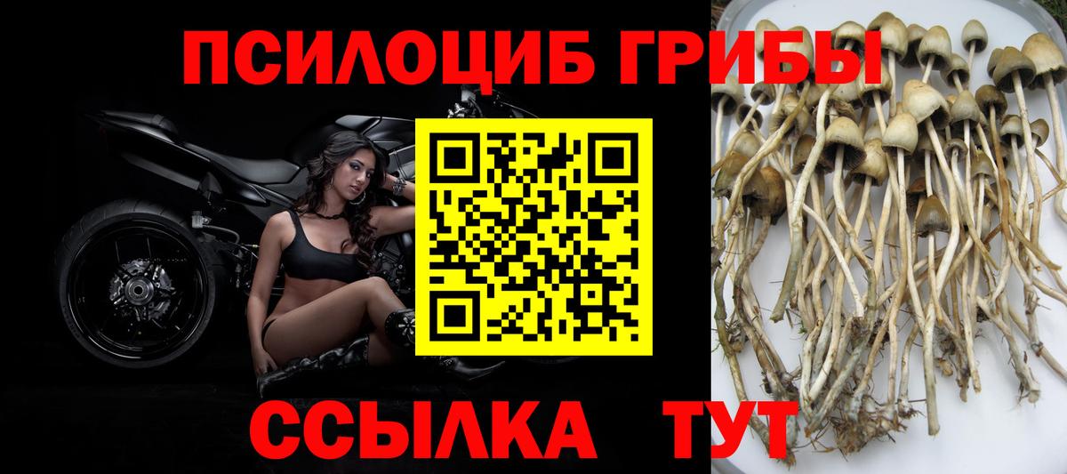 Псилоцибиновые грибы мухоморы Анжеро-Судженск